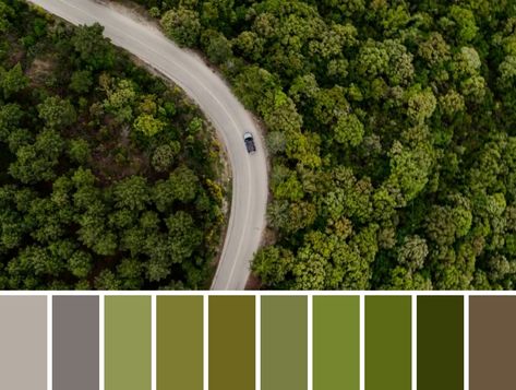 movie & film cinematography color palette Colour Grade Film, Colour Grading Film, Cinematic Color Palette, Cinema Palettes, Green Movie, Movie Color Palette, Colour Grading, Nature Film, Trip To Greece