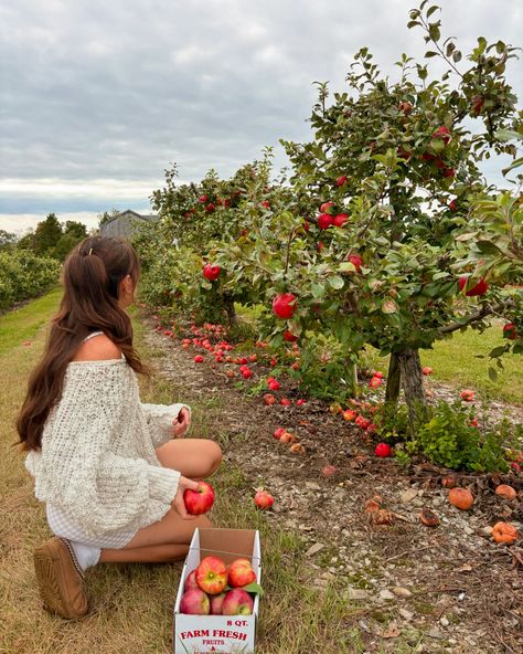 Since I was small, my family always went to Lawrence Farms Orchards to kick off the autumn season 🍎🍏 They’re literally the best u-pick farm located just an hour and a half from nyc. Bonus, they have killer apple cider doughnuts too! . . . . . #autumnvibes #applepicking #falltravel #vanlife #vanlifestyle #lifeontheroad #slowliving #october Cherry Picking, Fall Travel, Apple Picking, Autumn Season, Slow Living, Fall Vibes, Van Life, Apple Cider, Fall Season