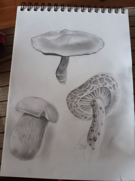 3 tipos de setas distintos, dibujo en escala de grises, lápices 6B y 8B Stuffed Mushrooms, Tableware