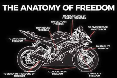 Motorcycle Memes, Motorcycle Humor, Motorcycle Tips, Riding Quotes, Image Moto, Bike Quotes, Biker Quotes, Motorcycle Quotes, Biker Love