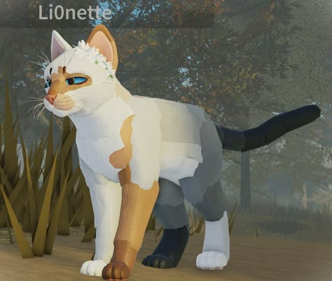 Wcue Morph Ideas Realistic Breeds, Wcue Ocs, Warrior Cats Ultimate Edition, Warrior Cats Funny, Tortoiseshell Cat, Wcue Morph, Funny And Relatable, Warrior Cats Fan Art, Warrior Cat Drawings