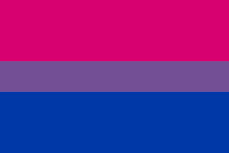 Pride Symbol, Bisexual Pride Flag, Bi Flag, Bisexual Flag, Lgbt Flag, Lgbt Rights, Rainbow Flag, Lgbtq Pride, Lgbt Pride