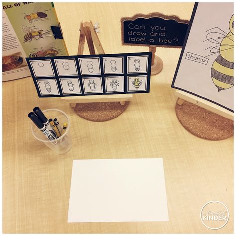 Kindergarten Inquiry, Bug Activities, Science Inquiry, Insects Preschool, Bee Activities, Inquiry Learning, Spring Kindergarten, Insects Theme, Inquiry Based Learning