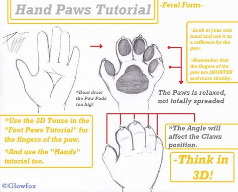 Paws Tutorial, Paw Hand, Paw Drawing, Draw Tutorial, Paw Pads, Art Academy, Drawing Practice, Art Tutorials Drawing, Drawing Tips