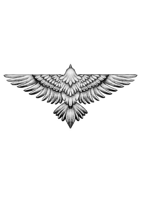 Eagle Tattoo For Women On Back, Bird Tattoo Men Leg, Eagle Tattoo Meaning, Protector Tattoo Ideas, Mens Wing Tattoo, Eagle Wings Tattoo Design, Minimal Eagle Tattoo, Egale Drawing Tattoo, Eagle Tattoo Sketch