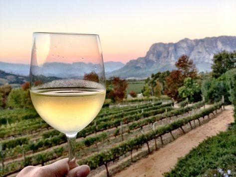 Stellenbosch Wineries, European Romance, South African Wine, Africa Trip, Dutch House, Road Trip Routes, Wine Quotes, Kitchen Plans, Most Wanted