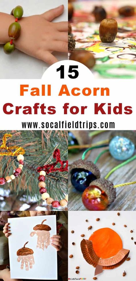 There’s just something about acorns that attract children. They like to collect as many as possible, put them in piles and make little acorn families out of them. So, if you’ve ended up with 5 pounds of acorns around your house like me, and aren’t sure what to do with them, check out this list of 15 Fun Fall Acorn Crafts for Kids! #fallcraft #kidscraft #preschoolcraft #toddlercraft #craft #diy #fall #autumn #kidscraft Diy With Acorns, Acorn Crafts For Kids Preschool, Crafts With Acorns For Kids, Acorn Art Projects For Kids, Acorn Crafts Preschool, Acorns Crafts, Acorn Crafts For Kids, Remove Grass Stains, Acorn Craft