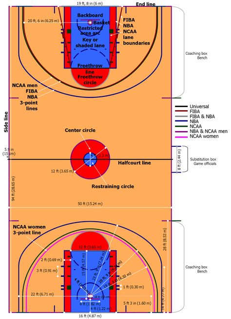 In this image you can see a basketball court with their parts. Basketball Court Dimensions, Basketball Court Size, Basketball Court Layout, Fiba Basketball, Basketball Plays, Basketball Skills, Basketball Equipment, Montessori Classroom, Diagram Design