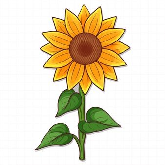 Free Vector | Seamless black and white sunflower botanical illustration. Flower Drawing For Kids, Sunflower Vector, Sunflower Sketches, Drawn Sunflower, Sunflower Invitations, Sunflower Illustration, Sunflower Drawing, Flower Drawing Design, Posca Art