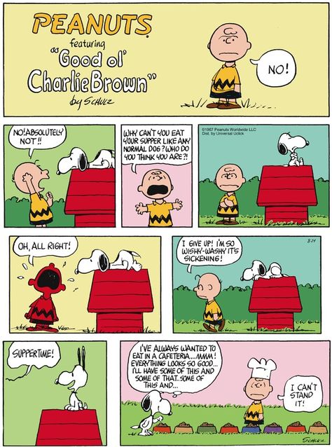 Peanuts Peanuts Snoopy Comics, Snoopy Comics, Snoopy Cartoon, Peanuts Comic Strip, Snoopy Funny, Charles Schulz, Peanuts Cartoon, Cartoon Strip, Snoopy Quotes