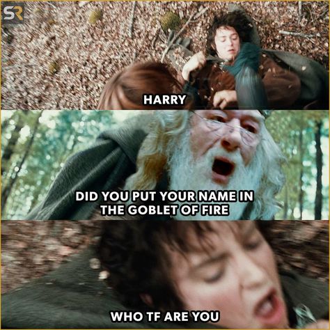 #middleearth#tolkien#lordoftherings#jrrtolkien#hobbit#lotr#thelordoftherings#lordoftheringsmemes#frodo#middleearthuniverse#lordoftheringsfan#tolkienbooks#lotrmovies#lordofthering#newzealand#nerd#lotrmeme#lotrmemes#mems#meme#HarryPotter#WizardingWorld#FantasticBeasts#HogwartsLegacy#AlbusDumbledore#JKRowling#meme#funny#humor#memes#memesdaily#lol#HarryPotterMemes#HarryPotterMeme Funny Hobbit Memes, Lotr Funny Memes Hilarious, The Hobbit Memes Hilarious, The Hobbit Funny, Lotr Memes Funny, Lotr Facts, Funny Lotr, Lotr Fanart, Lotr Characters