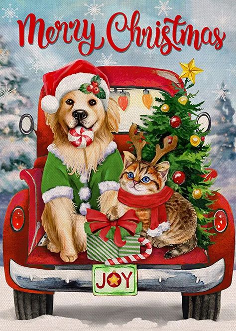 Amazon.com : Dyreson Merry Christmas Red Truck Dog Cat Decorative Garden Flag, Xmas Yard Outside Decorations, Winter Outdoor Small Decor 12x18 : Patio, Lawn & Garden Merry Christmas Images Dogs, Merry Christmas Cute Pictures, Dog And Cat Christmas Pictures, Merry Christmas Dogs, Merry Christmas Cats, Merry Christmas Images Cute, Merry Christmas Art, Cat Christmas, Dog Christmas