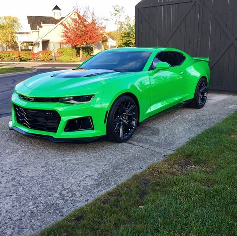 Chevrolet Camaro Green, Green Camaro, Stingray Car, Vw Pointer, Custom Camaro, Luxury Cars Audi, Camaro Car, Chevrolet Camaro Zl1, Best Muscle Cars