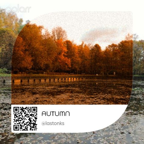 Autumn Filter, Filter, Drawings, Photography, Quick Saves, Art