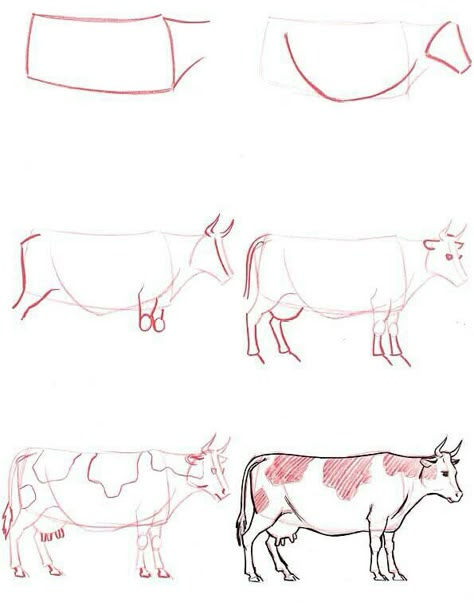 Bull Bull Drawing, Ako Kresliť, 심플한 그림, Cow Drawing, Basic Drawing, Cow Painting, Cow Art, Dessin Adorable, Animal Sketches