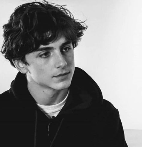 Regulus Acturus Black, Timmy Chalamet, Lil Timmy Tim, Timmy T, Regulus Black, Timothee Chalamet, Smash Book, Celeb Crushes, New Yorker