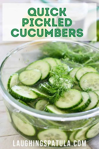 The easiest Quick Pickled Cucumber Recipe! Crunchy, tangy and ready to eat in 30 minutes! Pickled Onions And Cucumbers, Pickled Cucumber Recipe, Pickling Cucumbers Recipe, Sloppy Joe Recipe Easy, Pickle Recipes, Pickled Cucumbers, Pickled Cucumber, Seasoned Rice Vinegar, Ranch Chicken Casserole