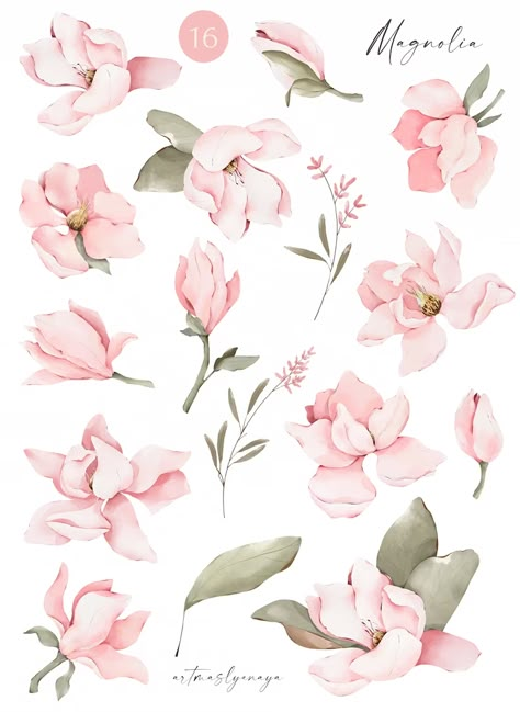 Pink Magnolia Flower, Magnolia Art, Watercolor Magnolia, Floral Map, Flower Elements, Watercolor Patterns, Magnolia Flowers, Flowers Png, Illustration Botanique