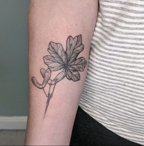 Sycamore Seed Tattoo, Seed Tattoo, Sycamore Seed, Tattoo Idea, Lotus Flower Tattoo, Wedding Inspo, Flower Tattoo, Tattoos