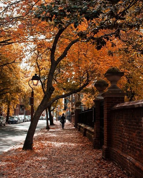 Fall In Philadelphia, Old City Philadelphia, Philadelphia Autumn, Fall Philadelphia, Autumn Story, Cobblestone Street, Fall City, Cobblestone Streets, Spooky Szn