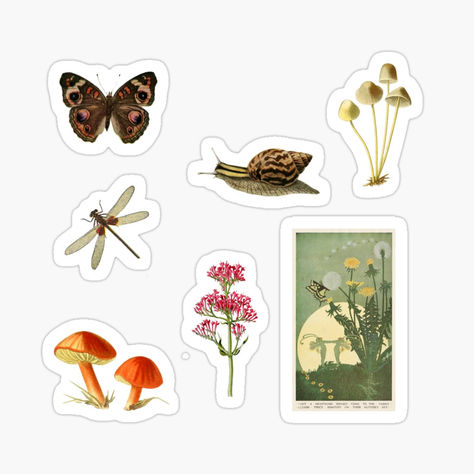 Whimsical fairycore sticker set - perfect sized for your laptop and water bottle, includes natural history elements such as mushrooms, flowers, insects and a cute little fairy. Fantasy Nature, Fairytale Decor, Vintage Illustrations, Antique Book, Book Illustrations, Magical World, Curated Vintage, Old World Charm, Antique Books