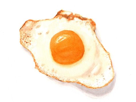 Egg Reference, Egg Patty, Oc Reference, Real One, Water Colour, Fried Egg, Camembert Cheese, Egg, Cheese