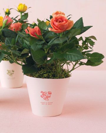 Miniature rose bushes make adorable shower centerpieces and they can also be given as favors Small Potted Flowers, Flower Pot Favors, Spring Bridal Shower Favors, Plant Favors, Flower Pot Centerpiece, Floral Shops, Rose Centerpieces Wedding, Plant Wedding Favors, Succulent Wedding Centerpieces