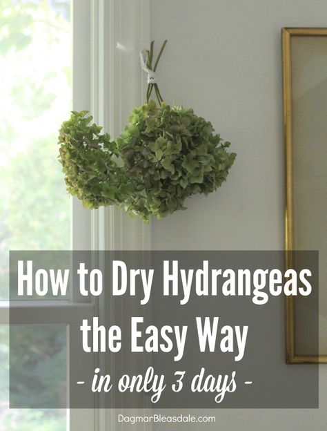 I tried out how to dry hydrangeas the easy way, and they were dry after only three days! Boy, am I glad I added hydrangea bushes to our Blue Cottage. Dry Hydrangeas, Do It Yourself Decoration, Farmhouse Design Ideas, Hyacinth Flowers, Diy Hanging Shelves, Hydrangea Bush, Dried Hydrangeas, Hometalk Diy, Diy Wall Shelves