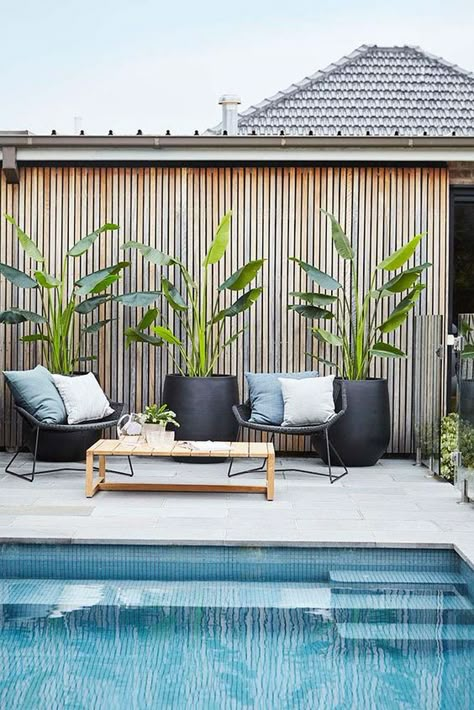 Tropical outdoor plants in modern Scandinavian patio area. Outdoor decor inspiration. Pool Goals, Kleiner Pool Design, Pool Plants, White Pool, Moderne Pools, Simple Pool, Pool Landscape Design, Small Pool Design, Backyard Pool Landscaping