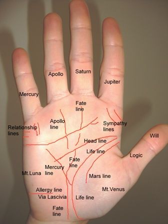 Palm Reading Lines, Palm Reading Charts, Hand Reading, Palmistry Reading, Palm Lines, Hand Reflexology, Palm Reader, Jyotish Astrology, Reading Charts