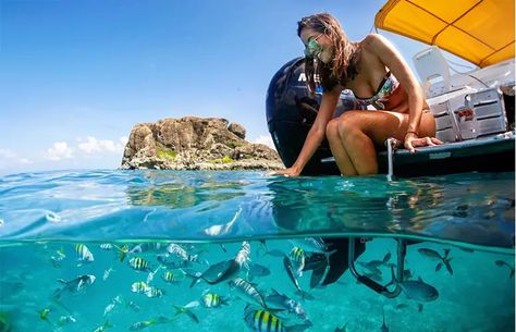 Saint Maarten Things To Do, St Martin Island, St Maarten Aesthetic, St Marteen Island Things To Do, Saint Martin Caribbean, St Marteen Island, St Marten, Saint Maarten, Saint Martin Island