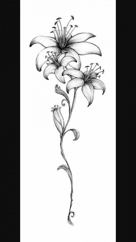 250+ Lily Tattoo Designs With Meanings (2020) Flower ideas & Symbols Small Lily Tattoo, Lily Tattoo Designs, Lilly Tattoo Design, Stargazer Lily Tattoo, Lilly Flower Tattoo, Lily Tattoo Meaning, Name Flower Tattoo, Tiger Lily Tattoos, Water Lily Tattoos