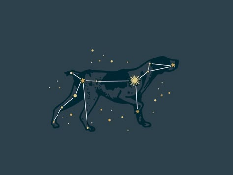 Canis Major Constellation; "Dog Star" . I want to get the name of this as a tattoo for my pup Sirius Black Constellation, Gsp Tattoos, Gsp Outline Tattoo, Dog Star Tattoo, Gsp Tattoo Ideas, Canis Major Constellation Tattoo, Sirius Black Tattoo Ideas, Gsp Tattoo, Canis Major Tattoo