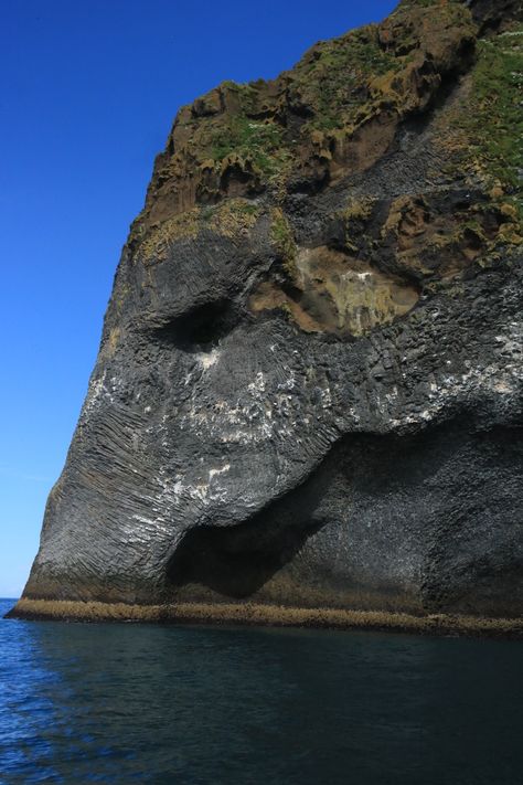 Elephant rock Vestmannaeyjar Iceland Elephant Rock Iceland, Elephant Rock, Iceland Landscape, Landscape Rock, Rock Face, Master Piece, Iceland Travel, Rock Formations, Reykjavik