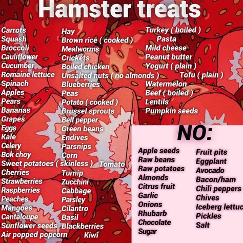 Diy Hamster Boredom Breakers, Hamster Meal Plan, Homemade Hamster Food, Syrian Hamster Food List, Hamster Treats Diy, Diy Hamster Food Recipes, Hamster Things Diy, Small Hamster Cage Ideas, Boredom Breakers For Hamsters