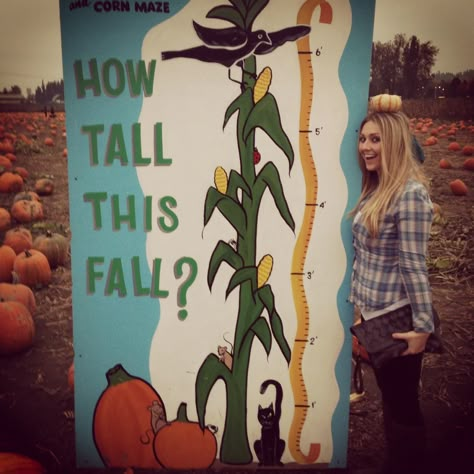 How tall this fall How Tall This Fall, Fall Festival Signs School, Fall Photo Cutout Board, School Fall Festival Ideas, How Tall This Fall Sign, How Tall This Fall Pumpkin Patch, Vertical Pumpkin Patch, Pumpkin Patch Activities, Fall Photo Booth