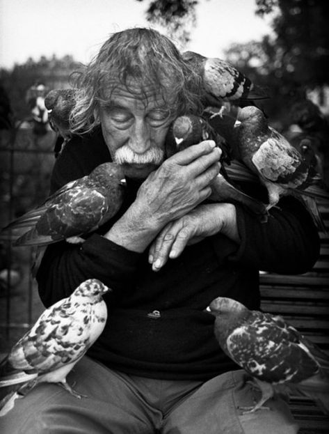 El viejo y las palomas. Andre Kertesz, Robert Doisneau, Foto Art, Animal Friends, Old People, Quarter Horse, Black White Photos, People Of The World, 인물 사진