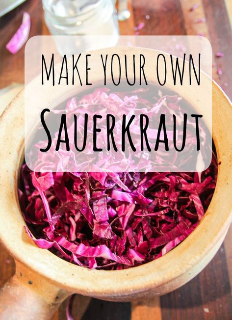 Red Cabbage Sauerkraut Recipe Red Cabbage Sauerkraut, Making Sauerkraut, Sour Cabbage, Fermented Sauerkraut, Sauerkraut Recipe, Homemade Sauerkraut, Fermented Cabbage, Sauerkraut Recipes, Fermented Vegetables