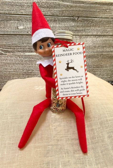 Reindeer Food Elf On The Shelf, Christmas Eve Elf On The Shelf Ideas, Elf Christmas Eve, Elf Things, Elf Ideas Easy, Magic Reindeer Food, Awesome Elf On The Shelf Ideas, Elf Activities, Xmas Elf