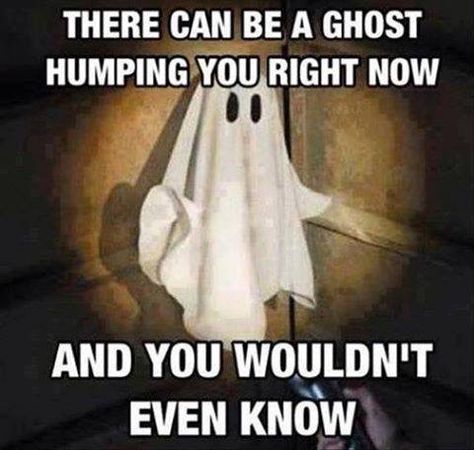 Ghost humping Ghost Adventures, Ghost Hunters, Ghost Writer, Ghost Hunting, Ghost Stories, Man Humor, Bones Funny, Halloween Funny, Funny Dogs