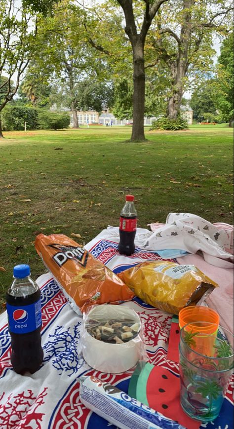 Picnic At Park Ideas, Picnic Fake Story, Park Picnic Ideas, Mallory Aesthetic, American Picnic, Ig Dump, Summer Hangout, School Memories Scrapbook, Picnic Dates