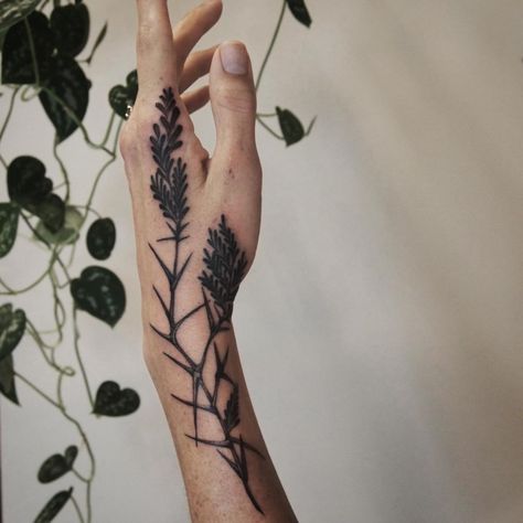 Rita von Lehe on Instagram: “Mimosa/acacia for Amy, what a dream placement... Thank you 🙏” Acacia Tattoo, Mimosa, A Dream, Geometric Tattoo, Flower Tattoo, Thank You, Tattoos, On Instagram, Instagram