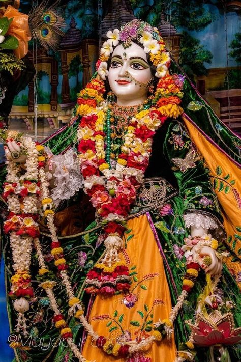 Jai shree radhe krishna Radha Rani Photo, Shree Radha Rani, राधा रानी, Shree Radha, Radha Radha, Basic Anatomy And Physiology, Radhe Shyam, Goth Wallpaper, Lord Photo