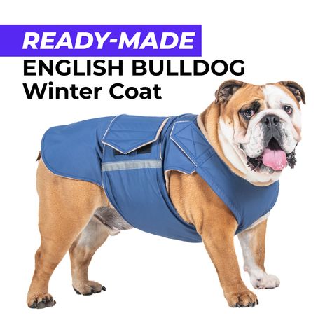 English Bulldog Clothes, Bulldog Clothes, Waterproof Winter Coat, Safety Tape, Dog Winter Coat, Waterproof Coat, English Bulldogs, Dog Jacket, Dog Wear