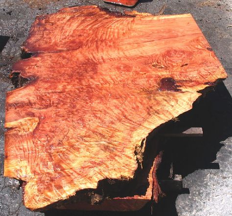 Redwood Burl Slab Redwood Burl, Live Edge Furniture, Live Edge Table, Burled Wood, Carving, Wood