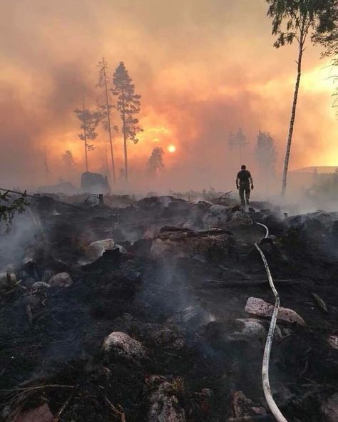 Sweden looks like an apocalyptic city after the fires broke out Apocalyptic City, Wildland Fire, Motorcycle Drawing, Funny Photoshop, Cafe Racer Build, Post Apocalypse, Forest Fire, Natural Disasters, Riverdale