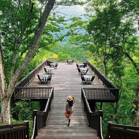 Forest Deck Ideas, Forest Hotel Architecture, Forest Resort Ideas, Backyard Forest Landscape, Mountain Resort Architecture, Hillside Deck, Forest Cafe, Nature Resort, Forest Resort