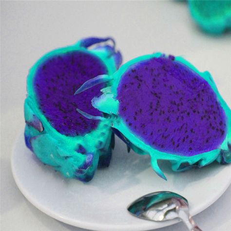 100 UNIDS elegant dark blue aging pitaya flesh perennial fruit tree seeds dragon fruit seeds (China (Mainland)) Como Plantar Pitaya, Dragon Fruit Tree, Pitaya Fruit, Dragon Fruit Pitaya, White Pizza Recipes, Dragon Fruit Plant, Buah Naga, Thanh Long, Seed Packaging