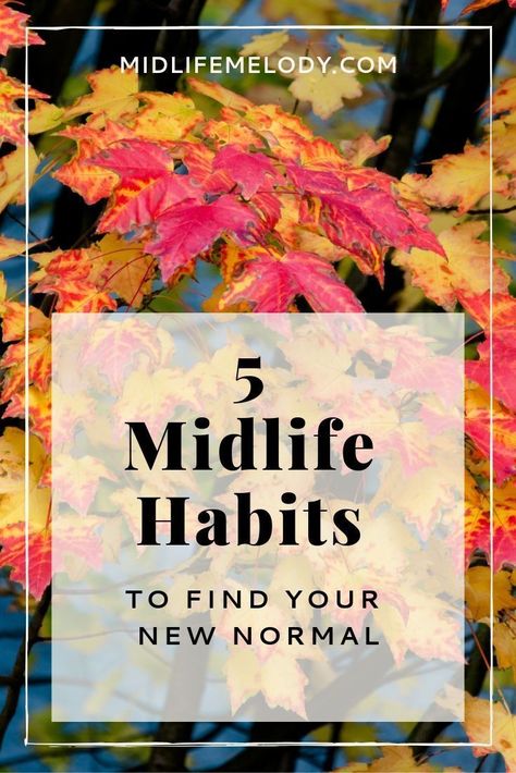 Midlife Transformation, Emotional Affair, Midlife Women, Mid Life Crisis, Finding Purpose, New Normal, Healthy Aging, Personalized Journal, Prayer Journal