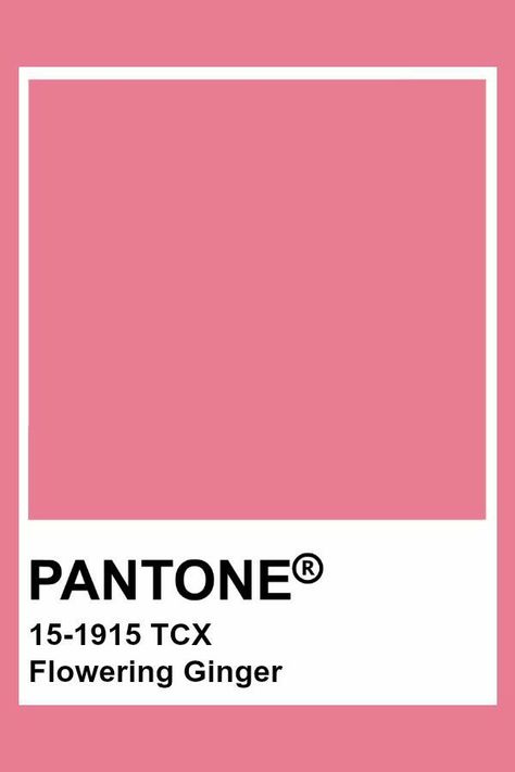 Pink Pantone Shades, Barbie Pink Pantone, Pantone Colour Palettes Pink, Pantone Peony, Pink Pantone Colors, Pink Pantone Palette, Color Swatches Pink, Hot Pink Pantone, Light Pink Pantone